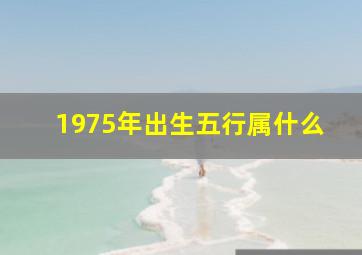 1975年出生五行属什么