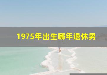 1975年出生哪年退休男