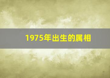 1975年出生的属相