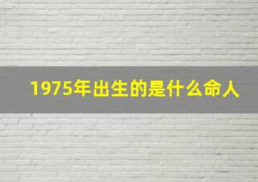 1975年出生的是什么命人