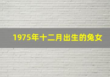 1975年十二月出生的兔女