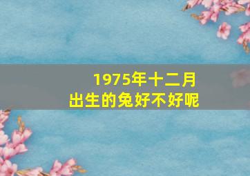 1975年十二月出生的兔好不好呢