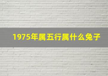 1975年属五行属什么兔子