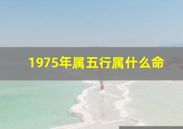 1975年属五行属什么命