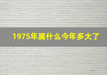 1975年属什么今年多大了