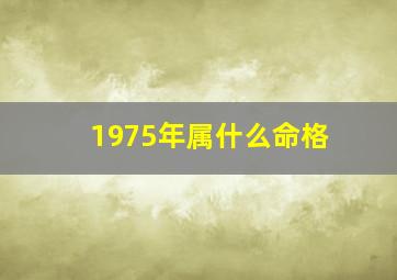 1975年属什么命格