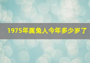 1975年属兔人今年多少岁了