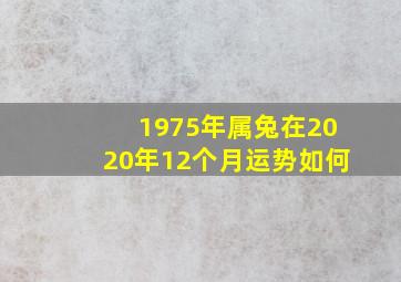 1975年属兔在2020年12个月运势如何