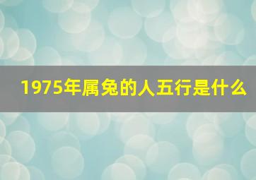 1975年属兔的人五行是什么