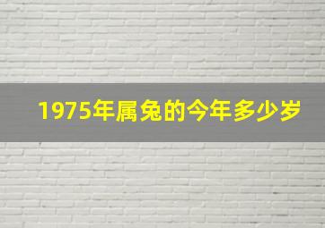 1975年属兔的今年多少岁