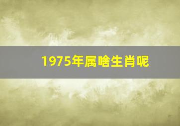 1975年属啥生肖呢