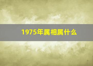 1975年属相属什么