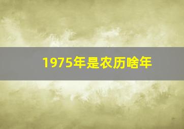 1975年是农历啥年