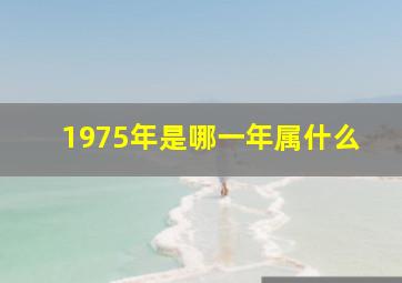 1975年是哪一年属什么