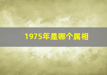 1975年是哪个属相