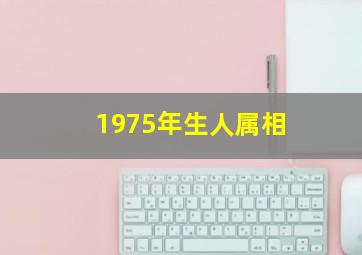 1975年生人属相