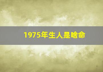 1975年生人是啥命