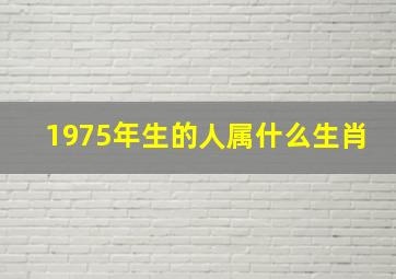 1975年生的人属什么生肖