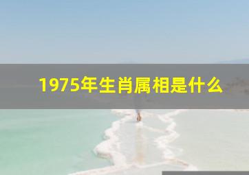 1975年生肖属相是什么