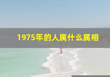 1975年的人属什么属相