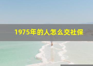 1975年的人怎么交社保