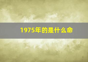 1975年的是什么命