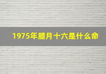 1975年腊月十六是什么命