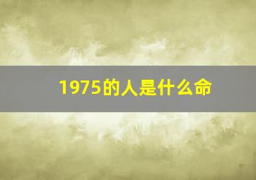 1975的人是什么命