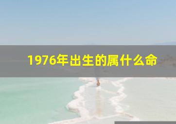 1976年出生的属什么命