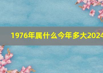 1976年属什么今年多大2024