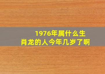 1976年属什么生肖龙的人今年几岁了啊