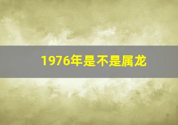 1976年是不是属龙