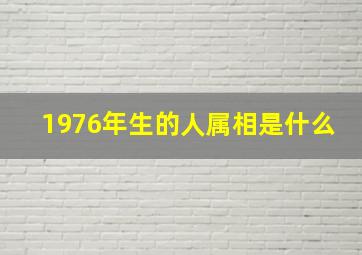 1976年生的人属相是什么