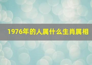 1976年的人属什么生肖属相