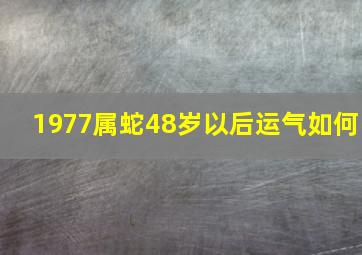 1977属蛇48岁以后运气如何