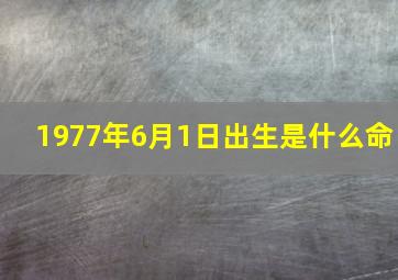 1977年6月1日出生是什么命