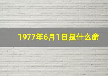 1977年6月1日是什么命