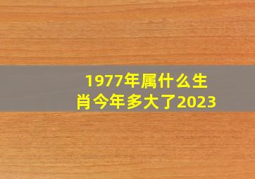 1977年属什么生肖今年多大了2023