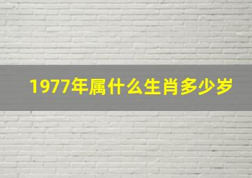 1977年属什么生肖多少岁