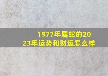 1977年属蛇的2023年运势和财运怎么样