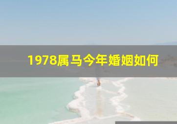 1978属马今年婚姻如何