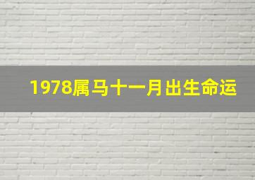 1978属马十一月出生命运