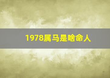 1978属马是啥命人