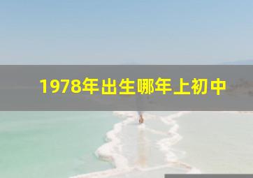 1978年出生哪年上初中