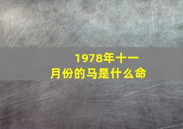 1978年十一月份的马是什么命