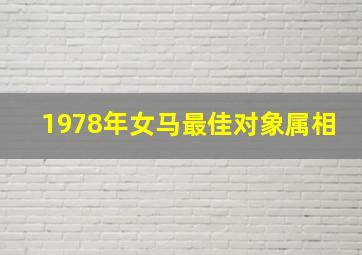 1978年女马最佳对象属相