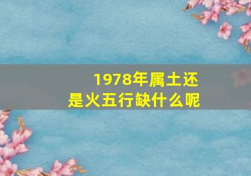 1978年属土还是火五行缺什么呢