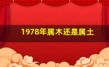 1978年属木还是属土