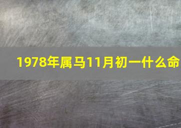 1978年属马11月初一什么命