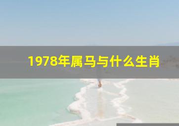 1978年属马与什么生肖